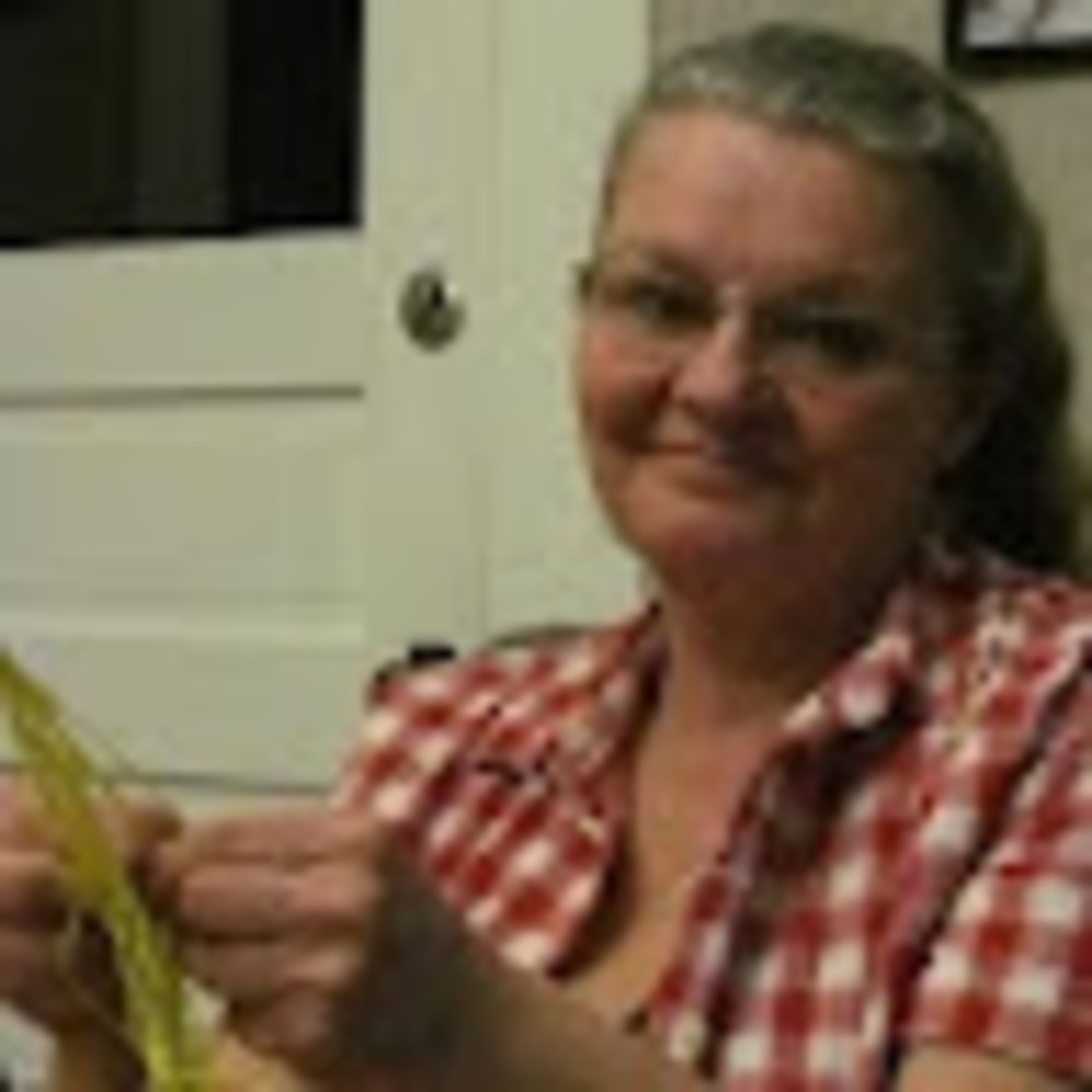Meet your Posher, Eve